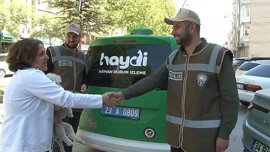 Aracıyla Ezdiği Kediyi Ölüme Terk Eden Şahsa Ceza