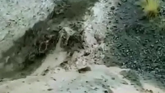 Elazığ'da Dere Taştı, Köy Yolu Çöktü