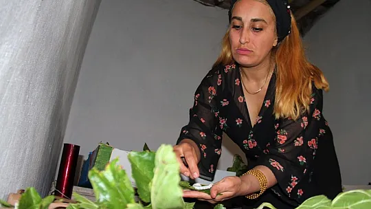 İki Kadın Arkadaş Sırt Sırta Verdi İpek Böcekçiliğine Başladı