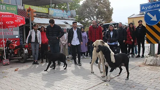 Öğrencilerden anlamlı proje, Şehit Fethi Sekin unutulmadı