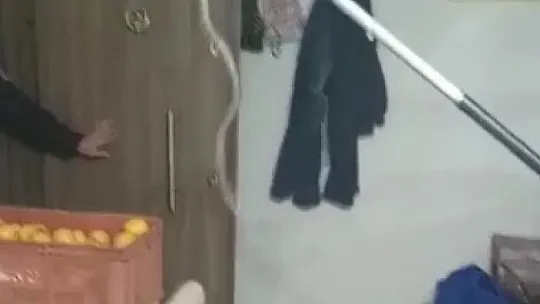 Elazığ'da Eve Giren 1 Metrelik Yılan Paniğe Neden Oldu, Ailenin Yardımına İtfaiye Ekipleri Yetişti