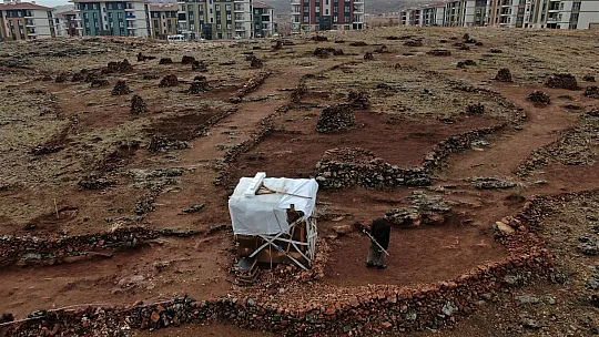 Taşlık araziyi ormana çevirmişti: Yetkililer teşekkür edip fidan desteğinde bulundu