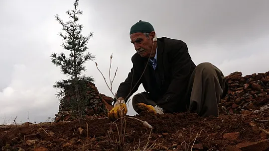 Taşlık araziyi ormana çevirmişti: Yetkililer teşekkür edip fidan desteğinde bulundu