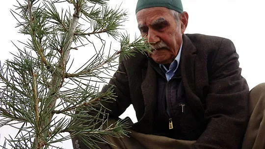 Taşlık araziyi ormana çevirmişti: Yetkililer teşekkür edip fidan desteğinde bulundu