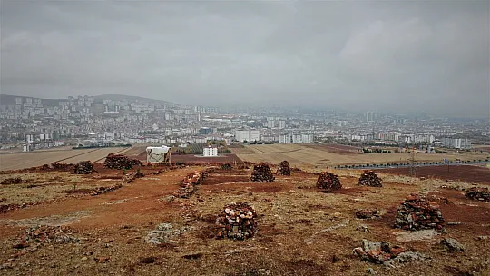 Taşlık araziyi ormana çevirmişti: Yetkililer teşekkür edip fidan desteğinde bulundu