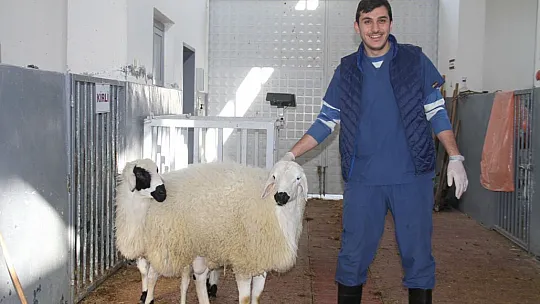 Fırat Üniversitesi Hayvan Hastanesi'nde bir yılda 7 bin 600 hayvan tedavi edildi