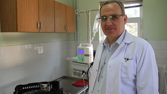 Fırat Üniversitesi Hayvan Hastanesi'nde bir yılda 7 bin 600 hayvan tedavi edildi