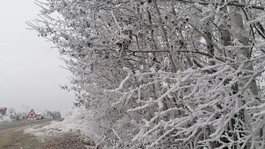 Elazığ'ın bir ilçesinde kırağı ve don etkili oldu