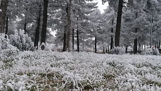 Elazığ'ın bir ilçesinde kırağı ve don etkili oldu