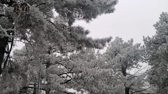 Elazığ'ın bir ilçesinde kırağı ve don etkili oldu