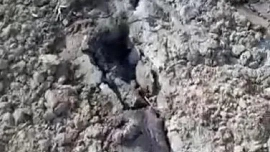 Bu kez Baltaşı'nda Görüldü