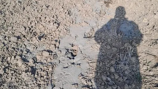 Bu kez Baltaşı'nda Görüldü