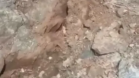 Elazığ'da misafir edilen depremzede sayısı belli oldu