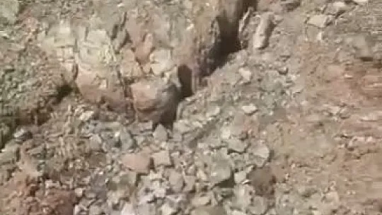 Elazığ'da misafir edilen depremzede sayısı belli oldu