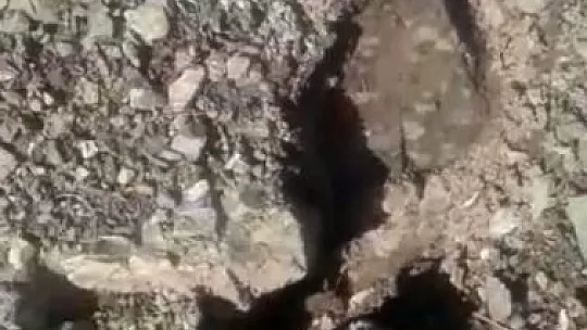 Elazığ'da misafir edilen depremzede sayısı belli oldu