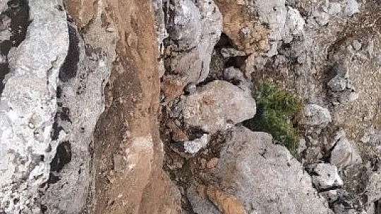 Depremlerden Sonra Oluştu, Tehlike Saçıyor...