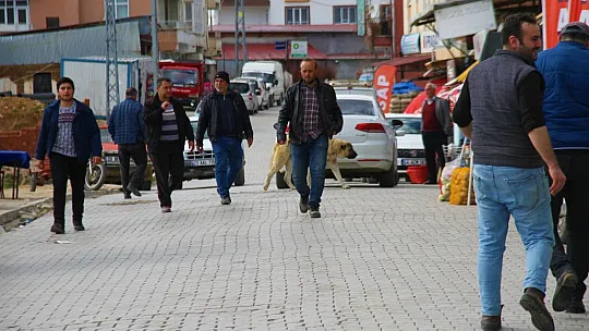 O ilçemizin nüfusu 10 katı arttı
