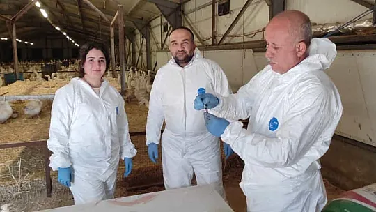 Elazığ'da hayvan sağlığı çalışmaları sürüyor