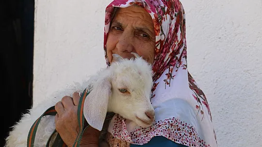 Kuzusuna bebek gibi bakıyor, yanından hiç ayırmıyor