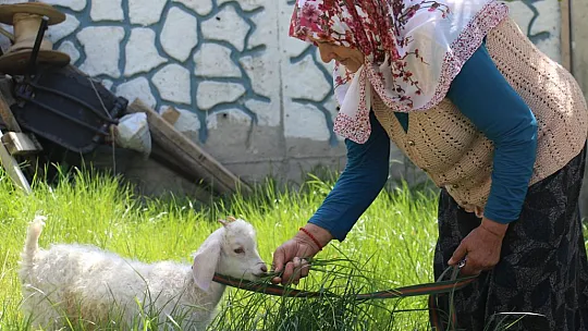 Kuzusuna bebek gibi bakıyor, yanından hiç ayırmıyor