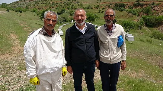 Elazığ Arı Yetiştiricileri Birliği Başkanı Canbay: 'Ekolojik dengede en önemli unsur arıdır'
