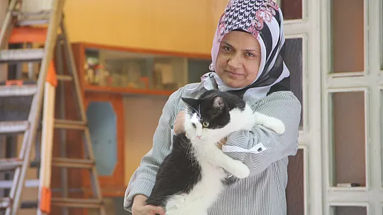 Evini sokak kedilerine açtı, sokak hayvanlarının annesi oldu
