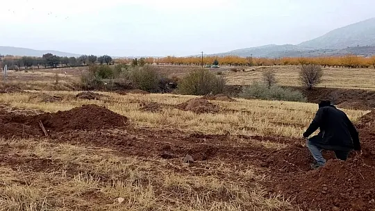 Elazığ'da bu kadarına da pes dedirten hırsızlık, 225 kayısı fidanı çaldılar