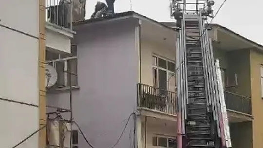 Binanın çatısında mahsur kalan köpeği, itfaiye kurtardı