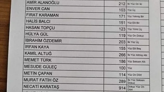 Güneykent'te Hangi Muhtar Adayı Kaç Oy Aldı?