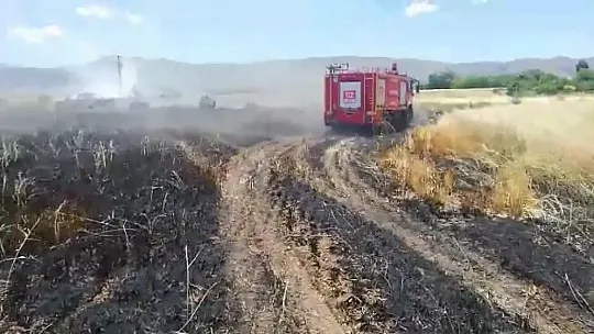 Elazığ'da 12 dönüm ekili alan kül oldu