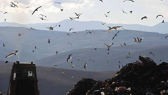 Elazığ'da 130 bin ton çöp, 11 bin haneye elektrik olarak geri döndü
