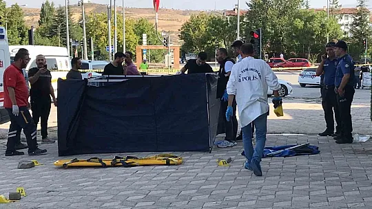 Elazığ'da 2 Kişinin Öldüğü Ambulans Cinayetinde 2 Tutuklanma