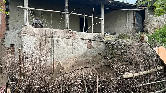Elazığ'da Ağıla Giren Kurt Sürüsü, Bütün Koyunları Telef Etti