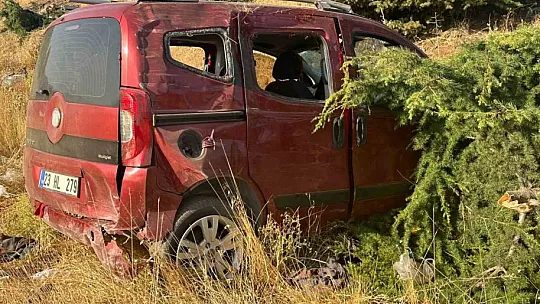 Elazığ'da Hafif Ticari Araç Şarampole Uçtu