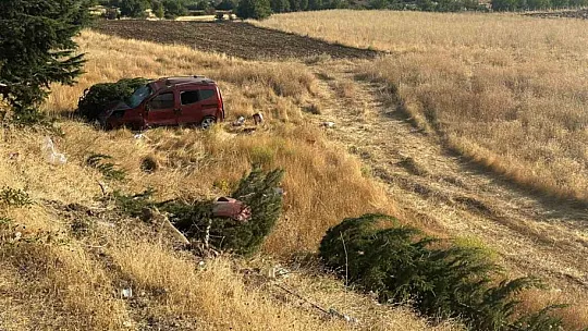 Elazığ'da Hafif Ticari Araç Şarampole Uçtu