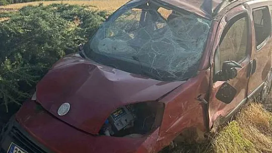 Elazığ'da Hafif Ticari Araç Şarampole Uçtu