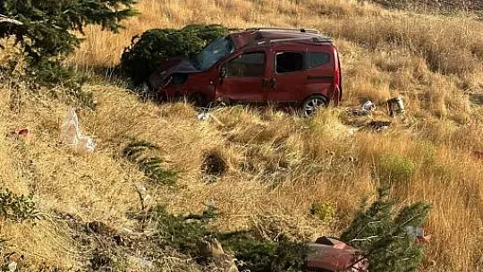 Elazığ'da Hafif Ticari Araç Şarampole Uçtu