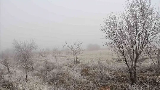 Elazığ'da havuzlar dondu, bayrak buz tuttu