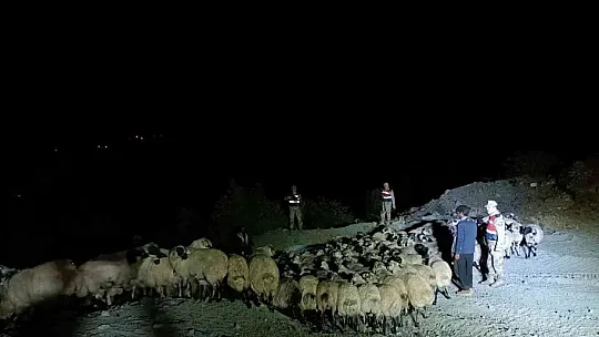 Elazığ'da jandarma kaybolan hayvanları dron ile buldu