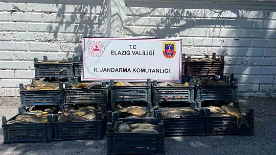 Elazığ'da kaçak balık avı yapan 3 şahsa, 49 bin lira ceza