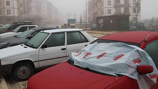 Elazığ'da kırağı ve don etkili oldu