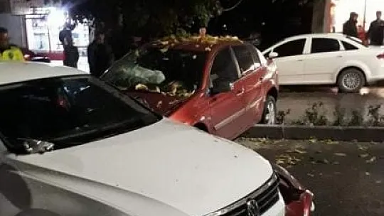 Elazığ'da trafik kazası: 2 yaralı