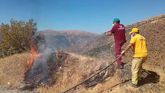 Elazığ'daki orman yangını söndürüldü
