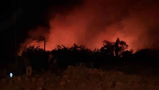 Elazığ'daki orman yangınına yönelik müdahale sürüyor