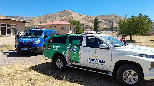 Eşekleri traktörün arkasına bağlayıp sürüklemişti, o sürücü bulundu ceza kesildi