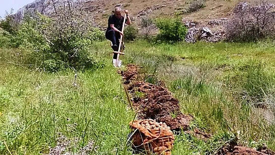 Salep Soğanı Toplayan 6 kişiye 678 Bin Lira Ceza