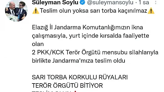 Bakan Soylu duyurdu: Elazığ'da 2 terörist silahlarıyla birlikte teslim oldu
