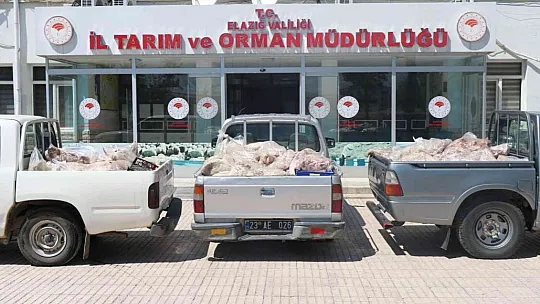 Kötü kokudan rahatsız olan vatandaşlar ihbar etti, depodan çürümüş et çıktı