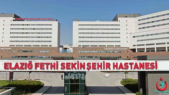Muş İl Jandarma Komutan Yardımcısı Albay Ahmet Kaya ve eşi trafik kazasında yaralandı