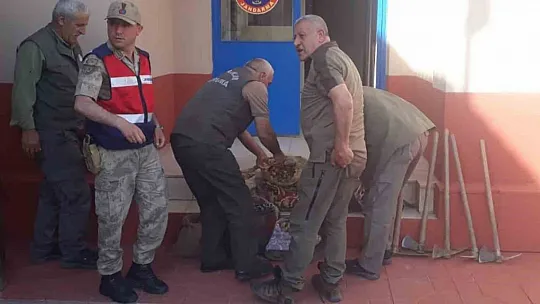 Salep Soğanı Toplayan 6 kişiye 678 Bin Lira Ceza